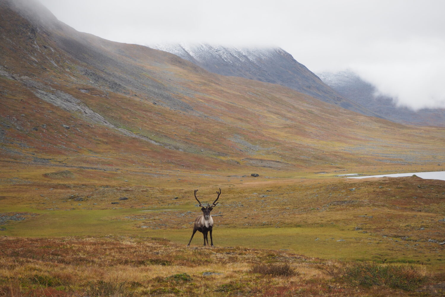 Švédsko Kungsleden královská cesta sob